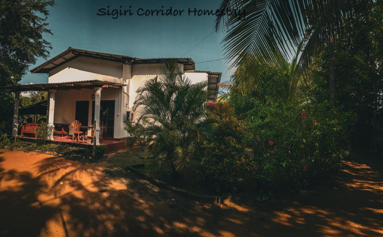 Sigiri Corridor Home Stay Sigiriya Eksteriør bilde