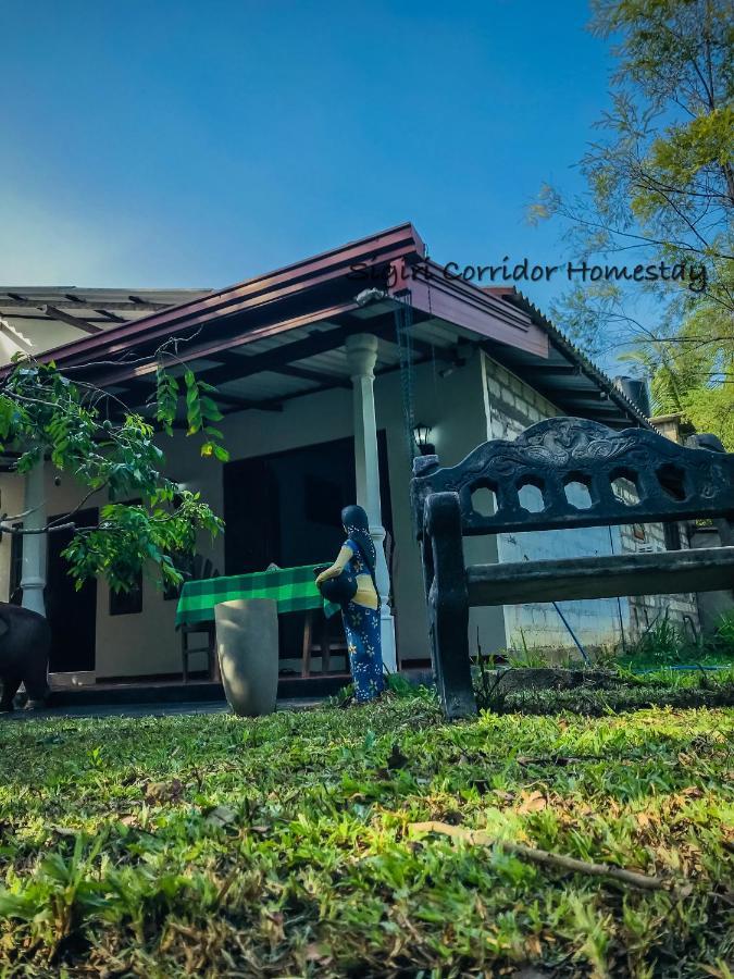 Sigiri Corridor Home Stay Sigiriya Eksteriør bilde